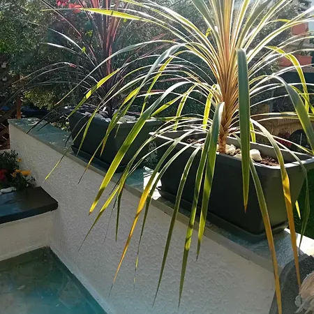 στην θαλασσα Nyaraló *